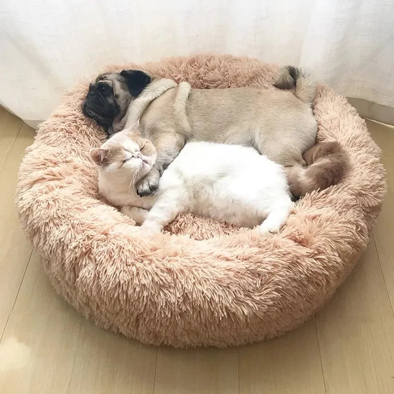 Abby’s Haven — The Calming Pet Bed