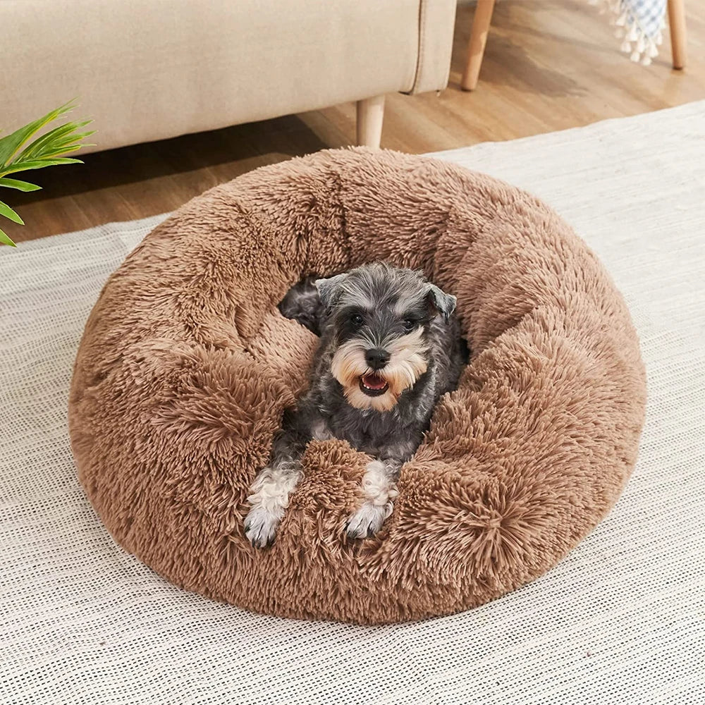 Abby’s Haven — The Calming Pet Bed