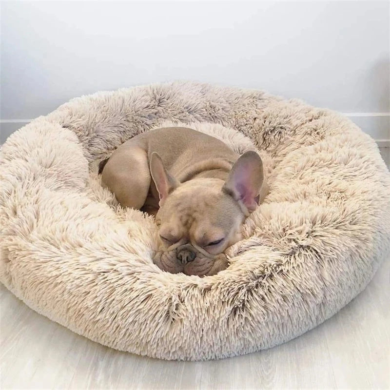 Abby’s Haven — The Calming Pet Bed